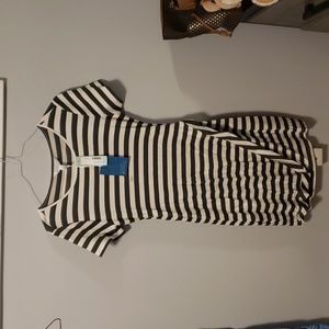 Market & Spruce Knit Dress, NWT, NEVER WORN